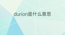 durion是什么意思 durion的中文翻译、读音、例句