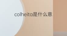 colheita是什么意思 colheita的中文翻译、读音、例句