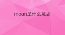 moan是什么意思 moan的中文翻译、读音、例句