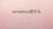 senseless是什么意思 senseless的中文翻译、读音、例句
