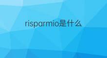 risparmio是什么意思 risparmio的中文翻译、读音、例句