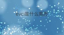 evci是什么意思 evci的中文翻译、读音、例句