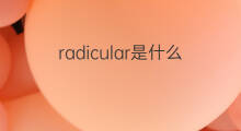 radicular是什么意思 radicular的中文翻译、读音、例句