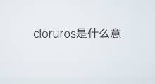 cloruros是什么意思 cloruros的中文翻译、读音、例句