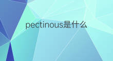 pectinous是什么意思 pectinous的中文翻译、读音、例句