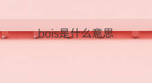 bois是什么意思 bois的中文翻译、读音、例句