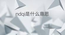 ndqi是什么意思 ndqi的中文翻译、读音、例句