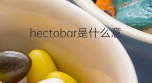 hectobar是什么意思 hectobar的中文翻译、读音、例句