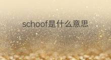 schoof是什么意思 schoof的中文翻译、读音、例句