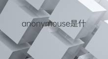 anonymouse是什么意思 anonymouse的中文翻译、读音、例句