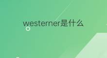 westerner是什么意思 westerner的中文翻译、读音、例句