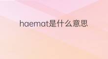 haemat是什么意思 haemat的中文翻译、读音、例句