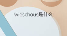 wieschaus是什么意思 wieschaus的翻译、读音、例句、中文解释