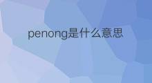 penong是什么意思 penong的中文翻译、读音、例句