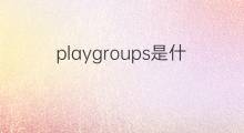playgroups是什么意思 playgroups的翻译、读音、例句、中文解释