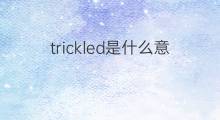 trickled是什么意思 trickled的中文翻译、读音、例句
