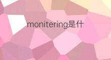 monitering是什么意思 monitering的中文翻译、读音、例句