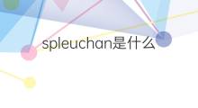 spleuchan是什么意思 spleuchan的中文翻译、读音、例句