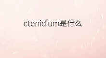 ctenidium是什么意思 ctenidium的中文翻译、读音、例句