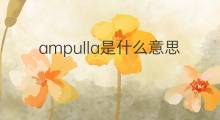 ampulla是什么意思 ampulla的中文翻译、读音、例句