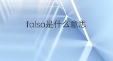falsa是什么意思 falsa的中文翻译、读音、例句