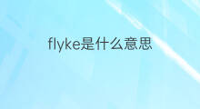 flyke是什么意思 flyke的中文翻译、读音、例句