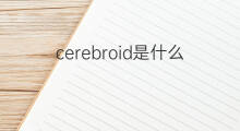cerebroid是什么意思 cerebroid的中文翻译、读音、例句