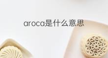 aroca是什么意思 aroca的中文翻译、读音、例句