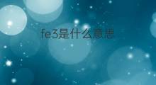 fe3是什么意思 fe3的中文翻译、读音、例句