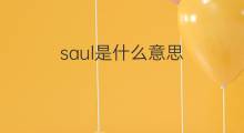 saul是什么意思 saul的翻译、读音、例句、中文解释