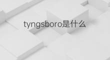 tyngsboro是什么意思 tyngsboro的中文翻译、读音、例句