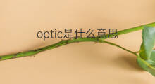 optic是什么意思 optic的中文翻译、读音、例句
