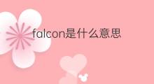 falcon是什么意思 falcon的中文翻译、读音、例句