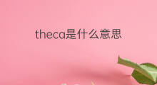 theca是什么意思 theca的中文翻译、读音、例句