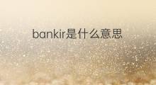 bankir是什么意思 bankir的中文翻译、读音、例句