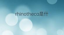 rhinotheca是什么意思 rhinotheca的中文翻译、读音、例句