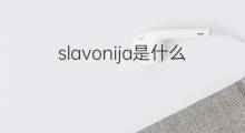 slavonija是什么意思 slavonija的中文翻译、读音、例句