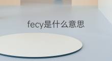 fecy是什么意思 fecy的中文翻译、读音、例句