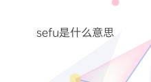 sefu是什么意思 英文名sefu的翻译、发音、来源