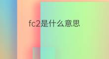 fc2是什么意思 fc2的中文翻译、读音、例句
