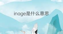 inage是什么意思 inage的中文翻译、读音、例句