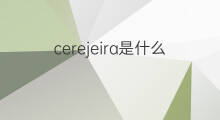 cerejeira是什么意思 cerejeira的中文翻译、读音、例句