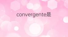 convergente是什么意思 convergente的中文翻译、读音、例句