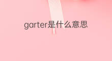 garter是什么意思 garter的翻译、读音、例句、中文解释
