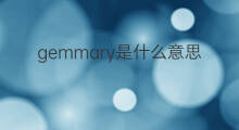 gemmary是什么意思 gemmary的中文翻译、读音、例句