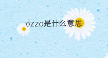ozzo是什么意思 ozzo的中文翻译、读音、例句