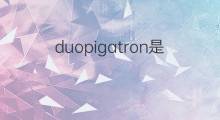 duopigatron是什么意思 duopigatron的中文翻译、读音、例句