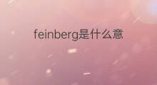 feinberg是什么意思 英文名feinberg的翻译、发音、来源