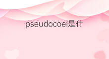 pseudocoel是什么意思 pseudocoel的中文翻译、读音、例句