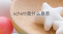 schett是什么意思 schett的中文翻译、读音、例句